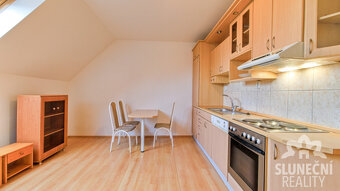 Pronájem bytu 1+1, 42 m², Staré Město - Brněnská - 4