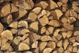 Prodám kvalitní palivové dřevo DOPRAVA ZDARMA AŽ KVAM DOMU - 4