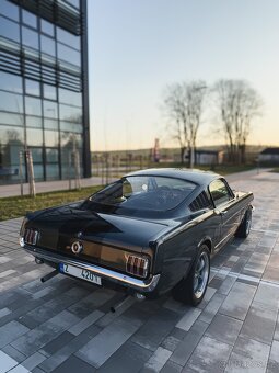 Ford Mustang 289 V8 FASTBACK - 4