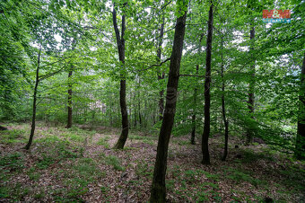 Prodej pozemku k bydlení, 439 m², Klopina - 4