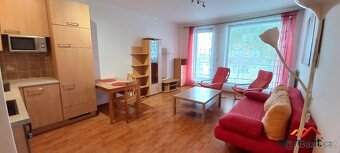 Pronajem 1+kk/B, P10, Záběhlice, plně zařízený, MHD, obchody - 4