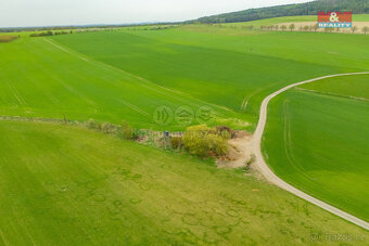 Prodej louky, 730 m², Olešnice - 4