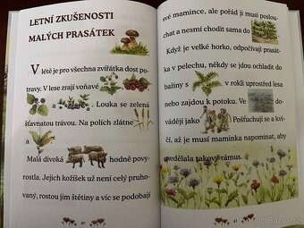 CO DĚLAJÍ ZVÍŘÁTKA - LÉTO - 4