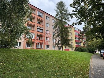 Prodám byt 2+1 , 57m2 - 4