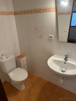 Pronájem byt 1+kk - 4