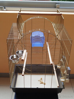 Ptačí klec - po korele - 4