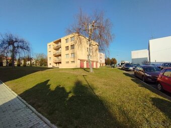 Prodej bytu 2+1 45 m2 Netvořice okr. Benešov - 4