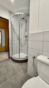 Pronájem bytu 1+1 Uherské Hradiště - 4