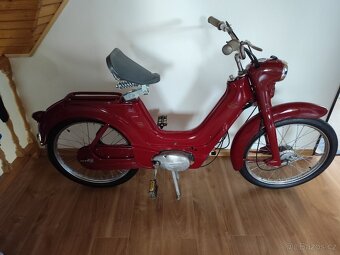 Jawetta 551 - 4