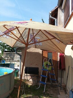 Slunečník kozel - 4