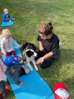 Border kolie s PP, štěňátka - 4