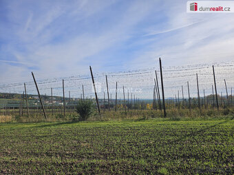 prodej pole a chmelnice Trnobrany - 4