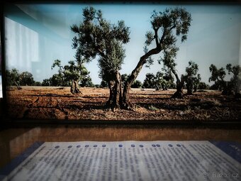 Terárium - želvárium - 4