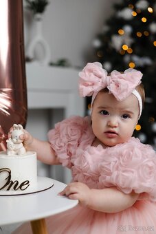 Šaty byly nošené jednou ve 12 měsících. - 4