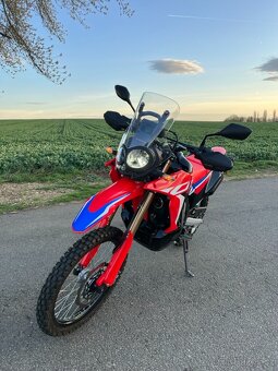 Honda CRF300L Rally, r.v. 2024 - 4