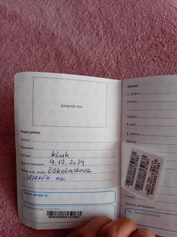 Prodám štěně - 4