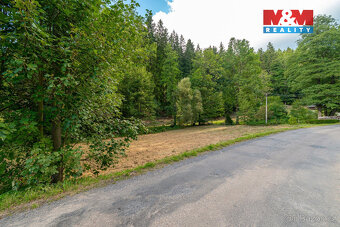 Prodej pozemku k bydlení, 2801 m², Červená Voda - 4