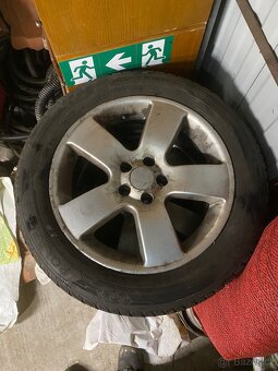 Barum Polaris 5 205/55 R16 - 4