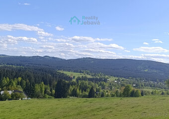 Prodej, pozemek 21 860 m², Křižánky - České Křižánky - 4