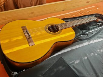 Takamine GC1-NAT - 4