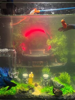 Mini akvárium 20x20x20 s LED, dekorací, topením a filtrem - 4