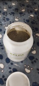 Kelpa - 4