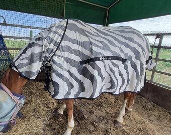 Deka síťovaná BucasBuzzOff Full Neck ZEBRA
Vyberte barvu - 4
