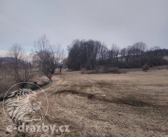 Dražba rybníku 7,7 ha a pozemky v obci Všepadly, okres Domaž - 4