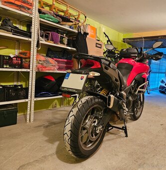 Predam Ducati Multistrada 950 - 4