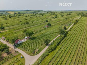 Prodej pozemek Sady/vinice, 2318㎡ - 4