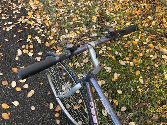 Jízdní kolo Fort Taurus – 90 léta - 4