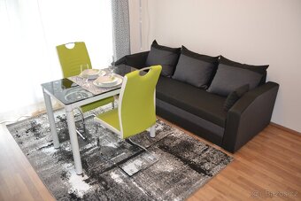 PRONÁJEM BYTU 1+KK - 4