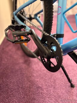 Beany Zero 24” - 4