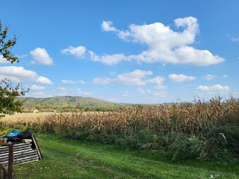 Stavební pozemek s vinným sklepem na Jižní Moravě - 4