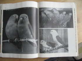 Príručka pre chovatelou vtáctva - 4