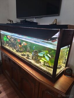 Akvárium velké - 4