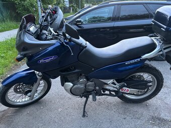 Suzuki xf650 - 4