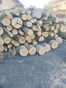 Výkopové a zámečnické práce Palivové dřevo - 4