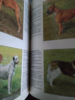 Výcvik služebních psů - 4