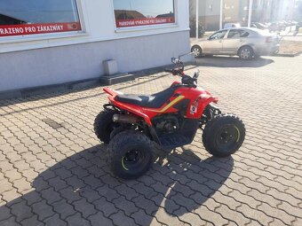GLADIATOR X110LE - 4