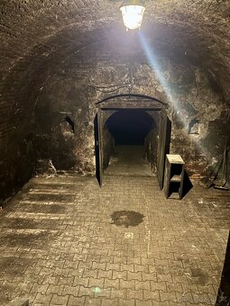 Prodej vinného sklepa - Brod nad Dyjí - 4