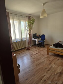Pronájem bytu Kladno - 4