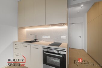 Pronájem, byty/1+kk, 34 m2, U Borského parku 3060/18, Jižní - 4