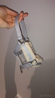 Hobby horse grošák - 4