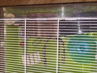 Klec pro křečka i zlatého velká plastová s vybavením a Zlín - 4