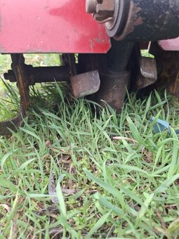 Plečka tera vari - 4