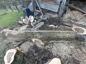 Ořechové dřevo - 4