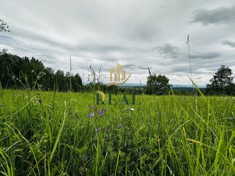 Pozemek, 6594 m2, OV, Blatno - 4