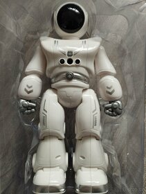 Smart robot ROBIN (30cm) - 4
