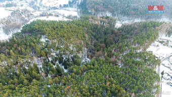 Prodej lesa, 4642 m², Mírová pod Kozákovem - 4